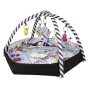 4 in 1 Acivity Playmat & Ball Pit