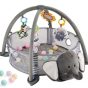 Ele Playgym & Ballpit with Balls